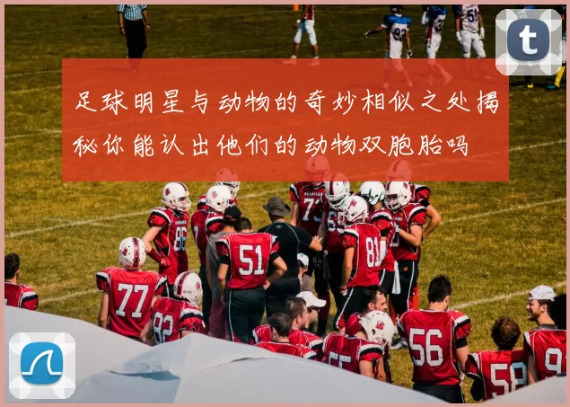 足球明星与动物的奇妙相似之处揭秘你能认出他们的动物双胞胎吗