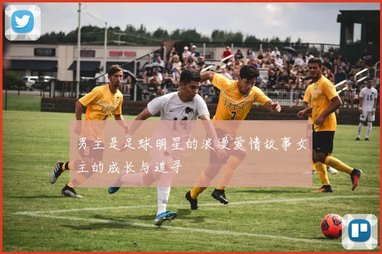男主是足球明星的浪漫爱情故事女主的成长与追寻