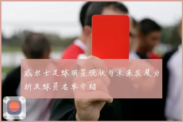 威尔士足球明星现状与未来发展分析及球员名单介绍