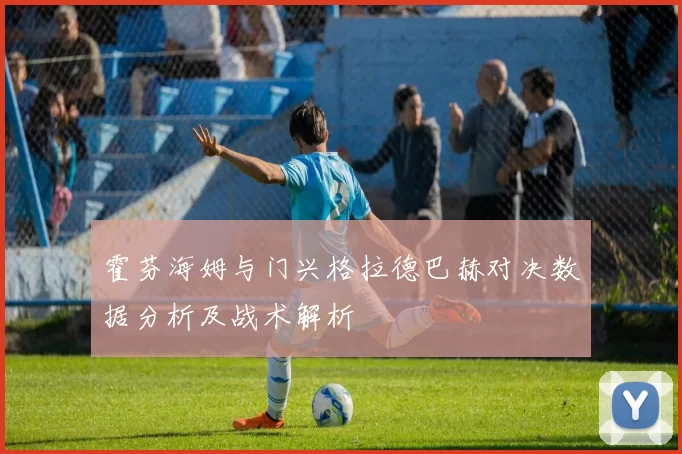 霍芬海姆与门兴格拉德巴赫对决数据分析及战术解析