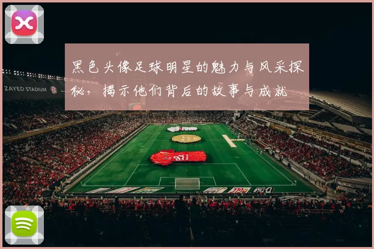 黑色头像足球明星的魅力与风采探秘，揭示他们背后的故事与成就