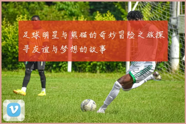 足球明星与熊猫的奇妙冒险之旅探寻友谊与梦想的故事