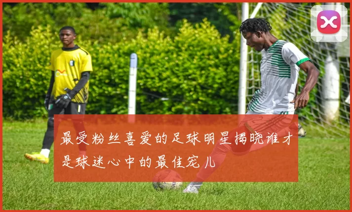 最受粉丝喜爱的足球明星揭晓谁才是球迷心中的最佳宠儿
