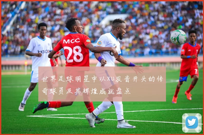 世界足球明星中以xu发音开头的传奇球员及其辉煌成就盘点