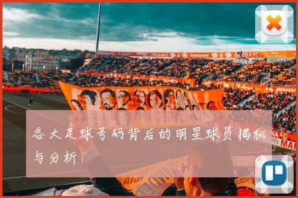 各大足球号码背后的明星球员揭秘与分析