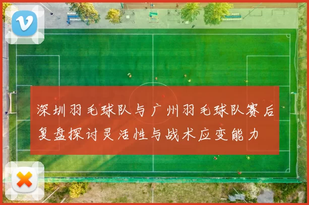 深圳羽毛球队与广州羽毛球队赛后复盘探讨灵活性与战术应变能力