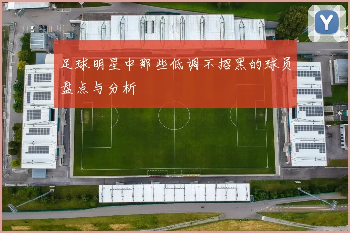 足球明星中那些低调不招黑的球员盘点与分析