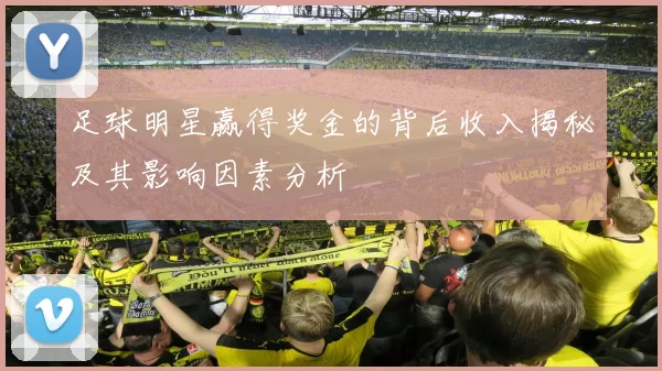 足球明星赢得奖金的背后收入揭秘及其影响因素分析
